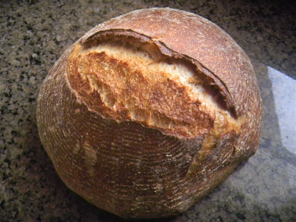 40 Whole Sprouted 7 Grain Sourdough Bread The Fresh Loaf